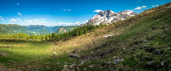 Mai Sonniger Tag Den Alpen Friaul Julisch Venetiens Italien — Stockfoto