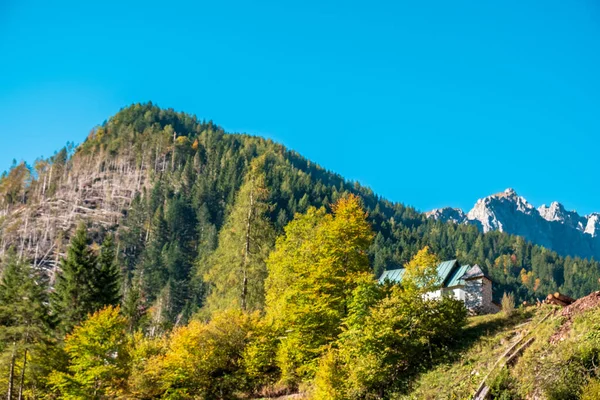 Ein Schöner Sonniger Herbsttag Den Alpen Friaul Julisch Venetiens Italien — Stockfoto