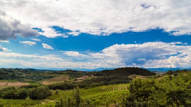 Slovenya üzüm bağlarında yağmur ve güneş