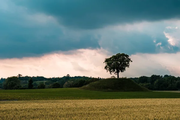 Fırtınalı Bir Bahar Gününde Friuli Venezia Giulia Nın Tarlaları — Stok fotoğraf