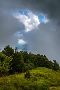 İtalya 'nın Friuli Venezia-Giulia Alplerinde yaz günü