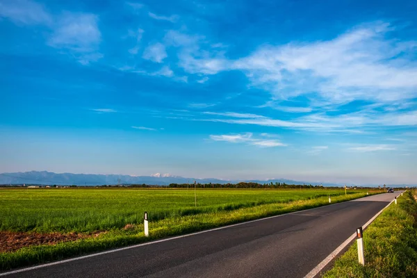 Sunset Fields Friuli Italy — Stock Photo, Image