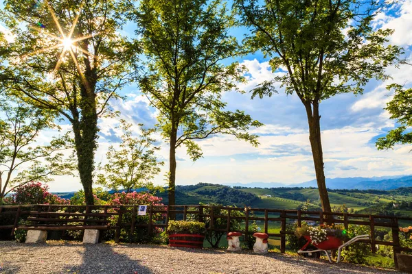 Итальянские Виноградники Границе Словенией Летом — стоковое фото