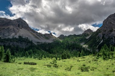 Güzel Carnic Alplerinde yaz günü, Forni di Sopra, Friuli-Venezia Giulia, İtalya