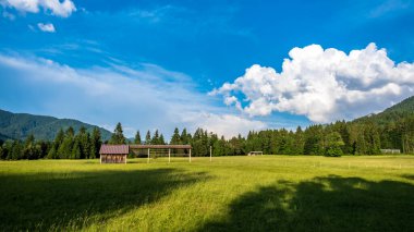 İtalya 'nın Friuli Venezia-Giulia Alp Vadisi' nde yaz günü