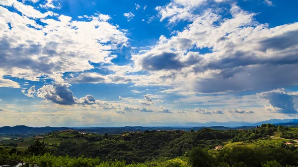 Vinhas Italianas Fronteira Com Eslovénia Uma Tarde Verão — Fotografia de Stock