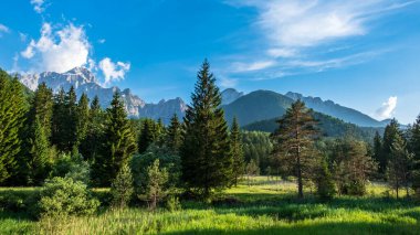 İtalya 'nın Friuli Venezia-Giulia Alp Vadisi' nde yaz günü