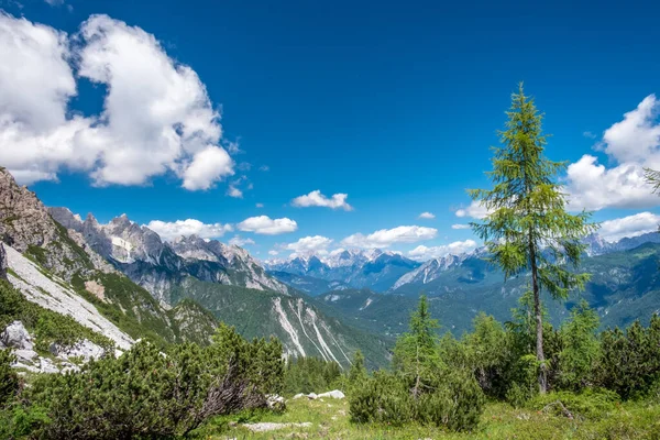 Julio Día Soleado Parque Dolomiti Friulane Friuli Venezia Giulia Italia —  Fotos de Stock