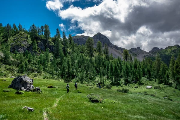 Červenec Slunečný Den Dolomiti Friulane Park Friuli Venezia Giulia Itálie — Stock fotografie