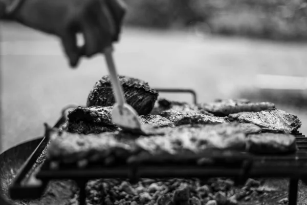 Verano Mejor Época Del Año Para Hacer Asado —  Fotos de Stock