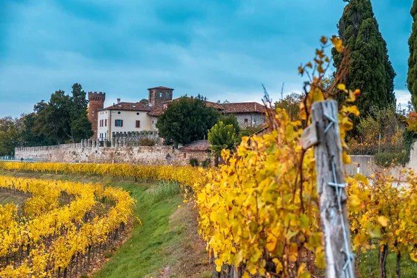 Die Sonne Geht Unter Den Weinbergen Friaul Julisch Venetiens — Stockfoto