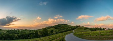 Güneş Friuli-Venezia Giulia, İtalya 'daki üzüm bağlarından batıyor.