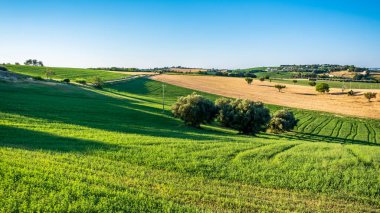 Numana köyünden Marş 'ın tarlalarında gün doğumu