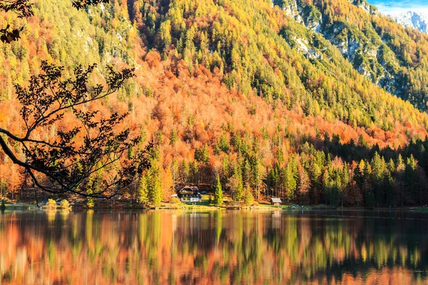 Październik Popołudnie Nad Jeziorem Podczas Barwnej Jesieni — Zdjęcie stockowe