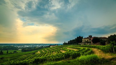 İtalya, Collio 'daki üzüm bağlarına fırtına yaklaşıyor.