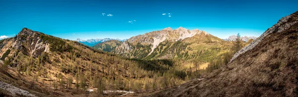 Mai Sonniger Tag Den Alpen Friaul Julisch Venetiens Italien — Stockfoto