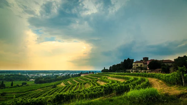 嵐はイタリアのコリオの畑のブドウ畑に近づいています — ストック写真