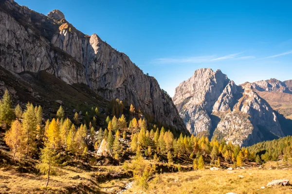 Belo Dia Ensolarado Outono Nos Alpes Friuli Venezia Giulia Itália — Fotografia de Stock