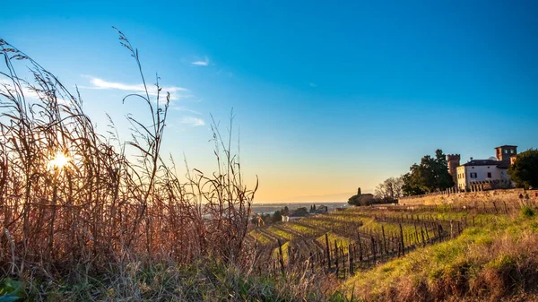 Słońce Zachodzi Winnicach Friuli Venezia Giulia — Zdjęcie stockowe