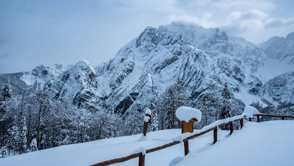 Julian Alps Depois Uma Grande Queda Neve Província Udine Região — Fotografia de Stock