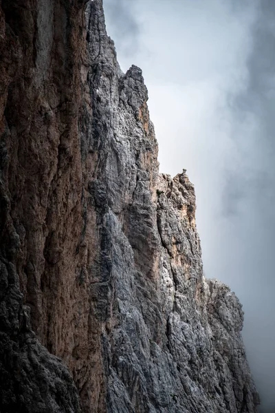 Otoño Viene Montaña Friuli Venezia Giulia Monte Osternig Italia —  Fotos de Stock