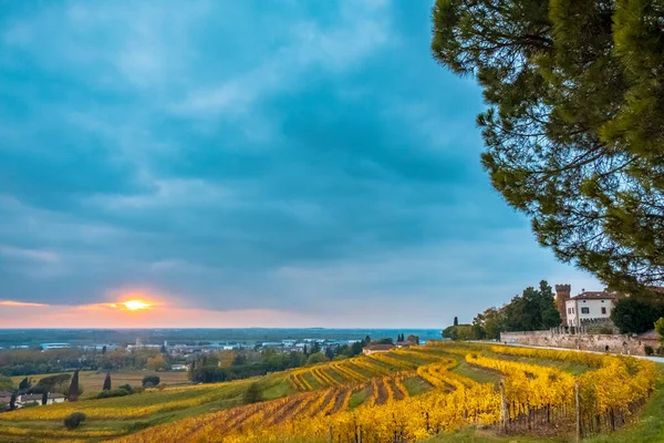 The sun goes down in the vineyards of Friuli Venezia-Giulia