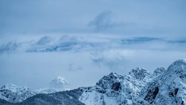 Julian Alps Obfitych Opadach Śniegu Prowincja Udine Region Friuli Wenecja — Zdjęcie stockowe