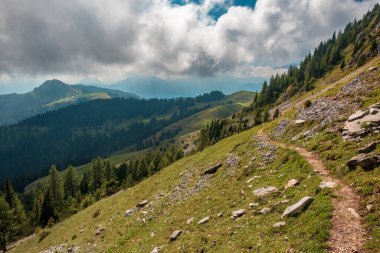 Yapraklar İtalya 'nın Osternig Dağı' ndaki Friuli-Venezia Giulia dağında başlıyor.