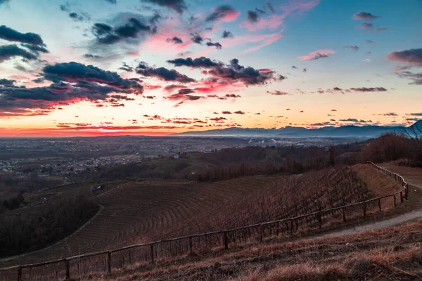 Winter Sunset Vineyard Savorgnano Friuli Venezia Giulia Italy — Stock Photo, Image