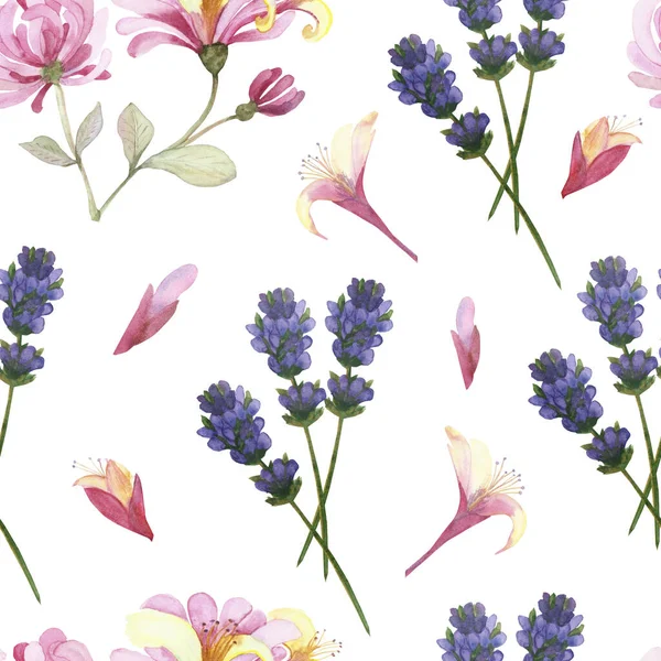 Watercolor Hand Painted Nature Meadow Floral Seamless Pattern Pink Honeysuckle — Stock Photo, Image