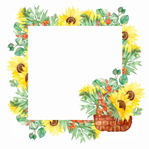 水彩手描きの自然庭の花の平方フレーム黄色のひまわり オレンジの海のクロウメモドキと緑のユーカリの葉の枝にウィッカーバスケットの招待状とグリーティングカードのために — ストック写真