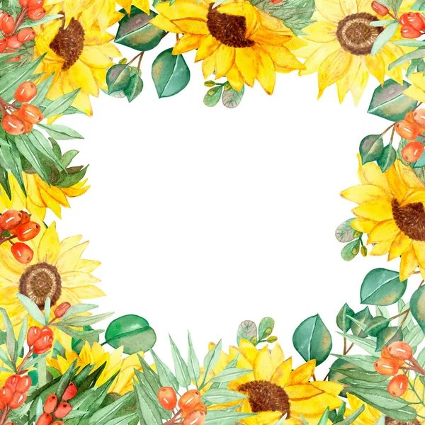 Watercolor hand painted nature garden meadow squared border frame with yellow sunflowers, orange sea buckthorn berries and green eucalyptus leaves on branch bouquet for invite and greeting cards