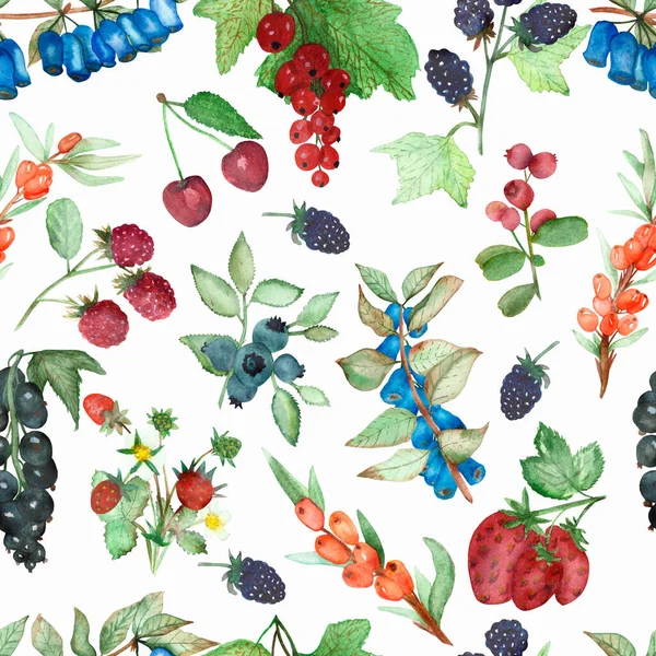 Watercolor Hand Painted Nature Garden Plants Seamless Pattern Blueberries Blueberries — Stock Photo, Image