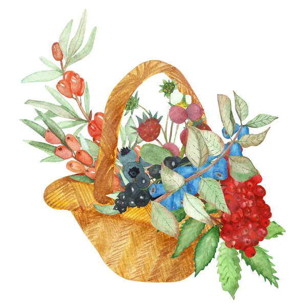 Akvarell Handmålad Natur Trädgård Sammansättning Med Apelsin Havtorn Blå Kaprifol — Stockfoto