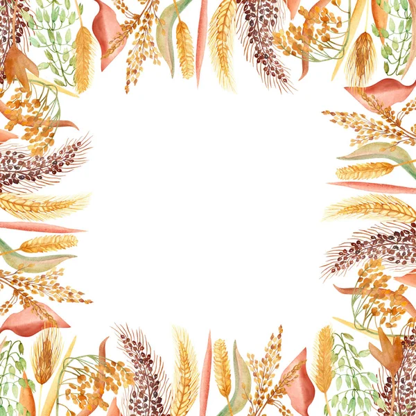 水彩画手绘天然粮田正方形边框 白色背景上有黄 谷粒组成 用于请柬和贺卡 — 图库照片