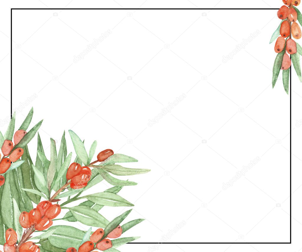 Watercolor hand painted nature garden plants squared border frame with orange sea buckthorn berries and green leaves on branches bouquet with black line with the space for text