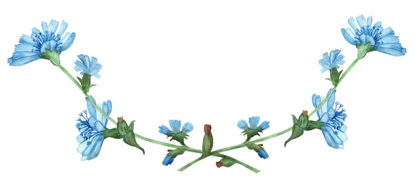 꽃꽂이에 파란색 치커리 가지에 꽃봉오리와 꽃봉오리로 꽃다발을 채색하여 배경에 초대하여 — 스톡 사진