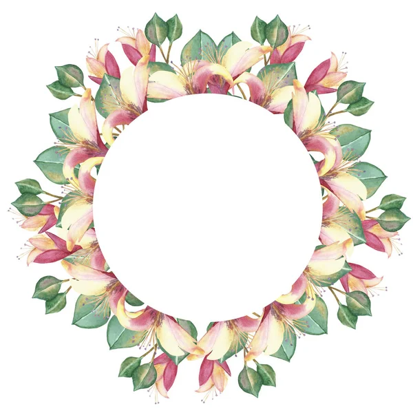 Watercolor hand painted nature floral circle frame with green eucalyptus leaves on branch, pink honeysuckle blossom flowers and buds composition for invite and greeting card with the space for text