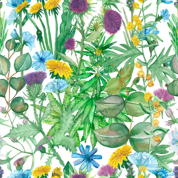 水彩手描き自然ハーブ植物シームレスなパターンで黄色タンポポ ワームウッド 紫ラベンダー ミルクアザミ ブルーチコリの花 緑の麻雑草やユーカリの葉 Print — ストック写真