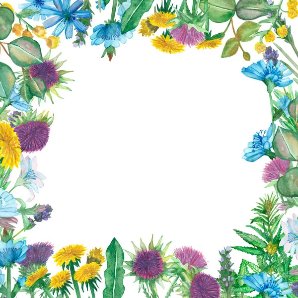 水彩手描き自然ハーブ二角形枠付き黄色タンポポ ワームウッド 紫ラベンダー ミルクアザミ ブルーチコリの花 緑の麻雑草やユーカリの葉カード用 — ストック写真