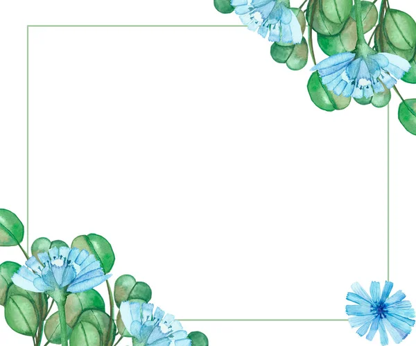 Akvarel Ručně Malované Přírody Bylinné Hranaté Rámeček Zeleným Eukalyptem Listy — Stock fotografie
