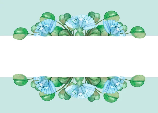 Acquerello Natura Floreale Banner Con Fiori Cicoria Blu Base Erbe — Foto Stock