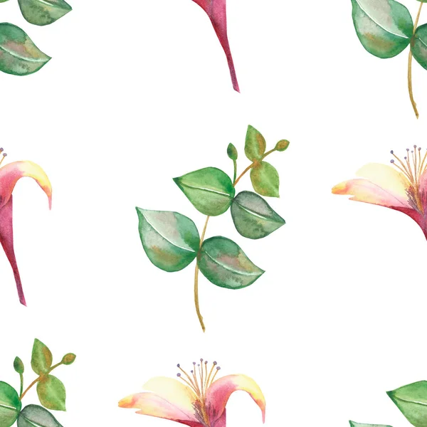 水彩手描き自然花緑のシームレスなパターンピンクの花スイカズラの花と緑のユーカリの葉は 印刷デザインのための白い背景に分離枝に — ストック写真