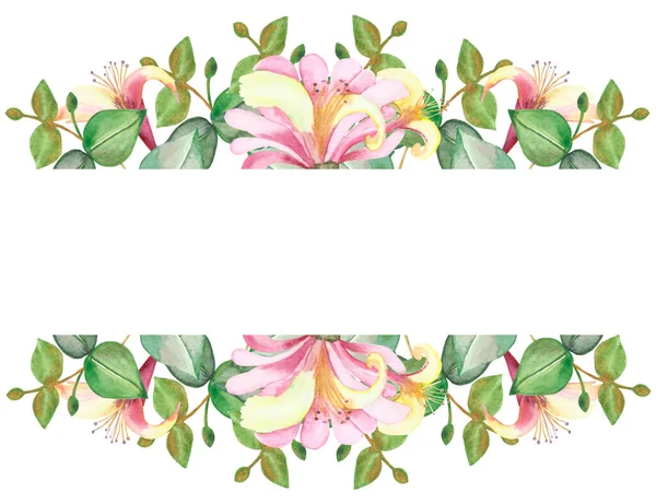 Aquarela Pintada Mão Natureza Banner Floral Com Flores Madressilva Rosa — Fotografia de Stock