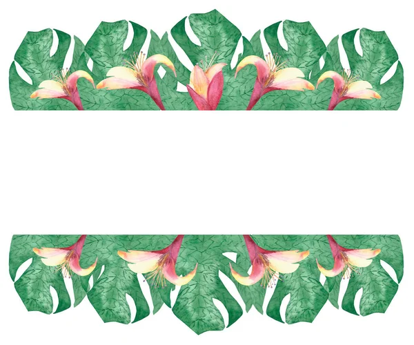 Watercolor Hand Painted Nature Tropical Banner Green Palm Leaves Pink — Stock Photo, Image