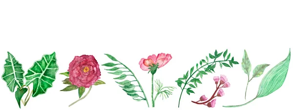 Akvarel Ručně Malované Příroda Květinové Tropické Rostliny Set Zelenou Dlaní — Stock fotografie