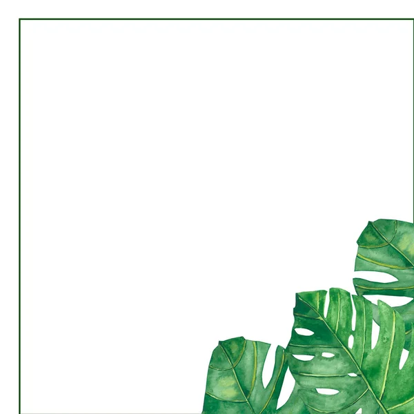 Aquarell Handbemalt Natur Tropisch Quadratischer Rahmen Mit Grünem Palmblätterstrauß Der — Stockfoto