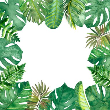 Suluboya el resmi doğa kare sınır çerçevesi yeşil farklı tropikal palmiye yaprakları bileşimi ile davet için beyaz arkaplan ve metin alanı ile tebrik kartı