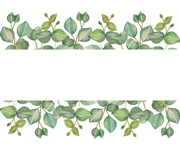 水彩手描き自然緑のバナー構成緑のユーカリの葉の枝に白い背景に花束を招待し テキストのためのスペースとグリーティングカード — ストック写真