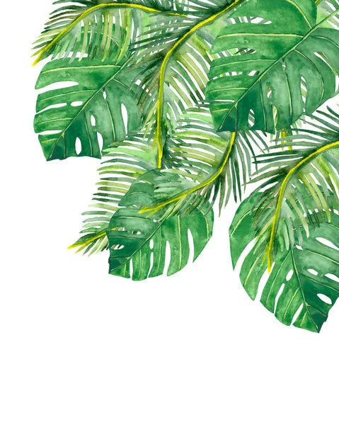 Watercolor hand painted nature tropical greenery composition with green palm monstera leaves bouquet on the white background for cards design elements with the space for text